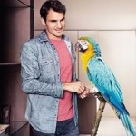 Roger Federer et son perroquet