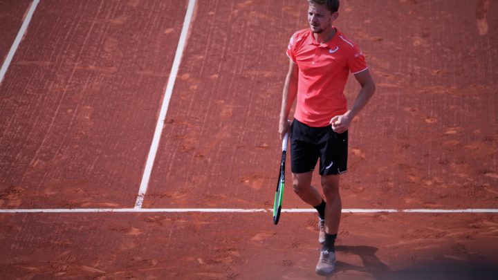 David Goffin : «Chaque chose en son temps»