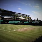Wimbledon et son gazon roi 