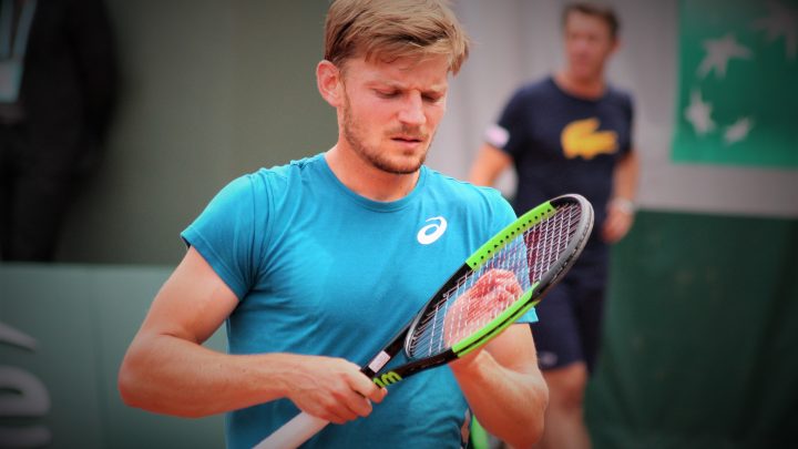 Clap de fin pour David Goffin