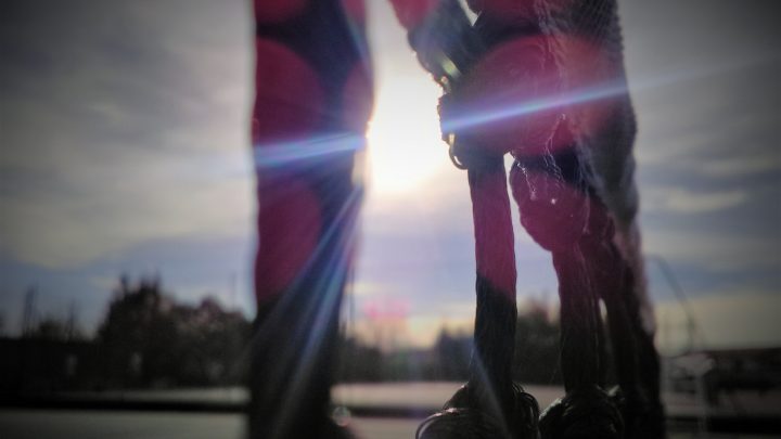 Le circuit fait une pause