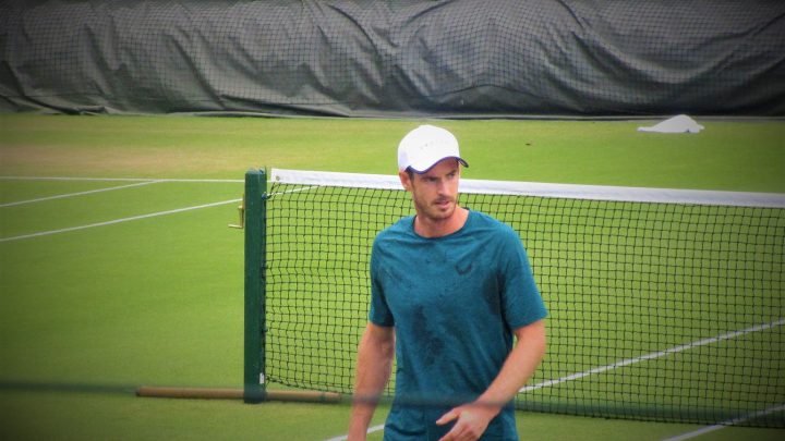 Andy Murray statufié à Wimbledon