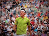 Kei Nishikori dit stop