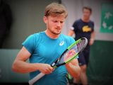 Clap de fin pour David Goffin